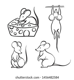 black and white mouse on a white background
