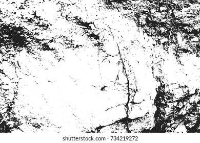 Black and white mud and dirt. Overlay texture. Vector 