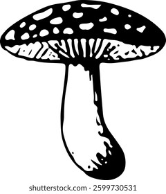 Black and White Mushroom Illustration