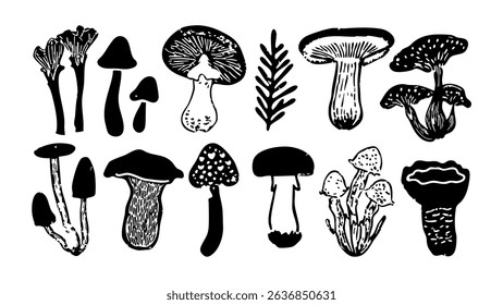 Black White Mushroom Illustration vector