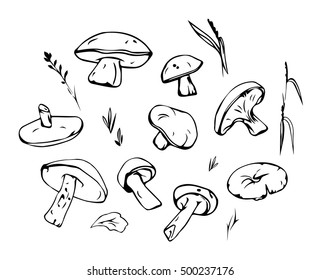 Black and white mushrooms in doodle style. Hand drawn mushrooms vector illustration.Collection Mushroom cartoon. Mushroom doodle set.