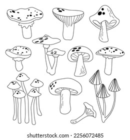Black and white mushrooms set. Outline design. Decorative style collection hand drawn. Different cartoon mushrooms. Vector illustration. EPS