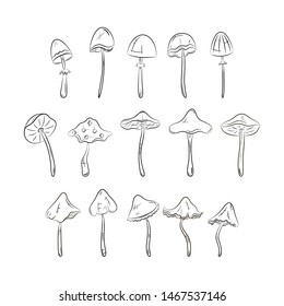 Black and white mushrooms set. Simple line icons. Vector illustration. 