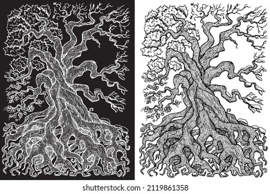 Black and white mystic fantasy tree line art vector illustration with occult and esoteric symbols, four seasons concept