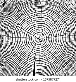 Black and white natural wood cut texture. Square background of the annual rings of a tree with cracks, spots and noise. Overlay template. Vector illustration