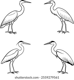 Black and White Nova Heron Bird Line Art Illustration Set