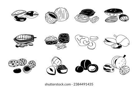 Black and White Nuts Collection, Almond, Walnut, Brazil and Peanut with Nutmeg. Pecan, Cashew, Pistachio and Cocoa Beans