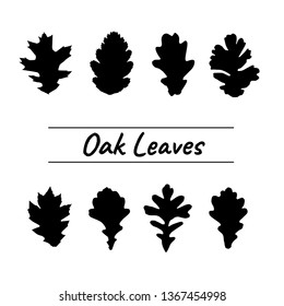 Black and White Oak leaves of tropical leaves palms. Illustration in Nature style. for web banners, posters, cards, wallpapers. 