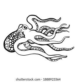 Black and white Octopus illustration on simple white background