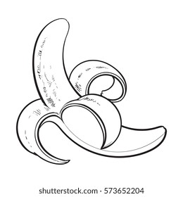black and white One open, peeled ripe banana, sketch style vector illustration isolated on white background. Realistic hand drawing of banana open, peeled in traditional way