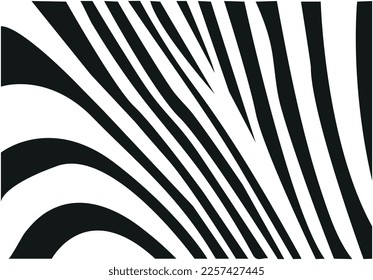 Black and white Optical background, geometric lines pattern, vector  vintage    stripes,zigzag effect, curve lines texture. 