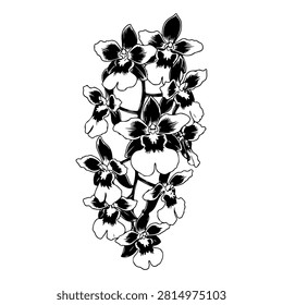 Black and white orchid flower cluster branch vector illustration isolated on white