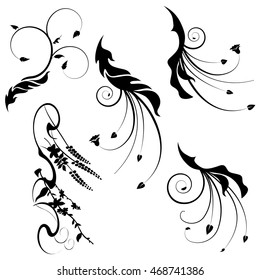Black and white ornaments, Collection for designers, meadow, plants vector set