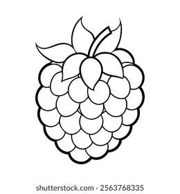 Black and white outline of a boysenberry with leaves and stem