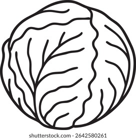 A black and white outline drawing of a cabbage, showcasing its round shape and leaf texture in a minimalist style.
