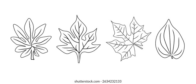 A black and white outline drawing featuring four distinct leaf shapes, ideal for artistic projects, botanical designs, and educational materials emphasizing nature and plant study.
