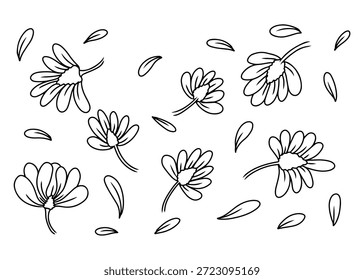 Black and white outline drawing of multiple flowers and scattered petals, simple graphic resource.