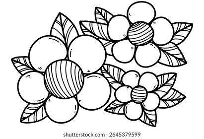 Contorno preto e branco de flores e folhas. design vetorial, editável, imprimível, colorir páginas, flores bonitas