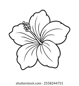 Black and white outline of a hibiscus flower with detailed petals and stamens