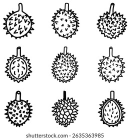 A ilustração em contorno preto e branco exibe nove diferentes variações de frutas secas, cada pontiaguda e única, isolada em um fundo transparente.
