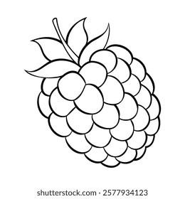 Black and white outline illustration of a raspberry with leaves