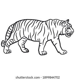 Black And White Outline Illustration Of The Walking Tiger