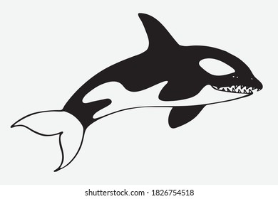 Schwarz-Weiß-Umriss eines Killerwals. Geeignet für Illustrationen, Logos, Produktabdrücke