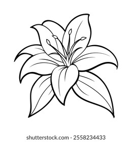 Black and white outline of a lily flower with detailed petals and stamens