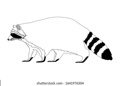 Black and white outline raccoon isolated on white background. Page for coloring book. Vector illustration.