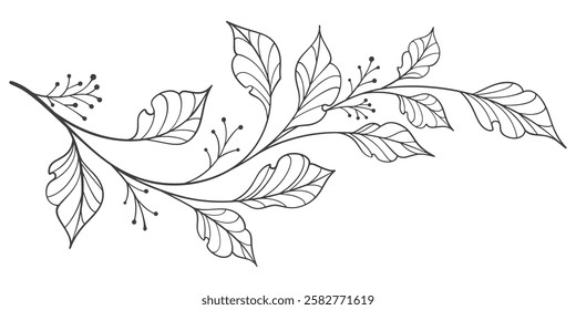 black and white outline sketch of a leaf. floral, botanical leaf element design Vector eps
