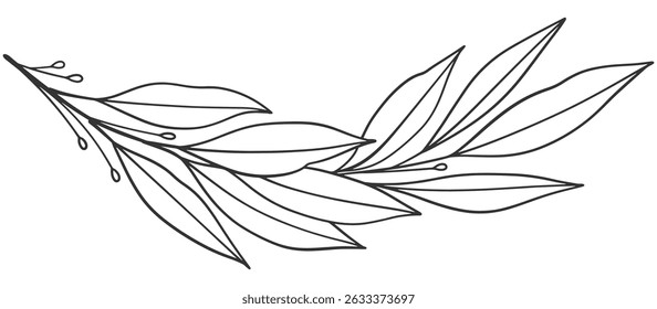 black and white outline sketch of a leaf Vector eps
