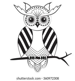 Black and white owl
