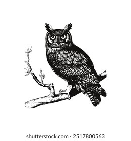 Black and white owl illustration perched on branch. Vector illustration design.