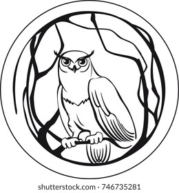 black and white owl sitting on a branch tree circular