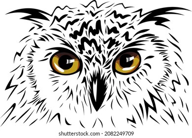 Black and white owl. Vector illustration.