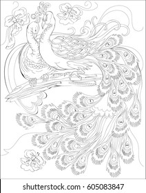 Black and white page for coloring. Fantasy drawing of peacocks couple.  Worksheet for children and adults. Vector image.