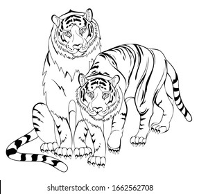 white tigers coloring pages