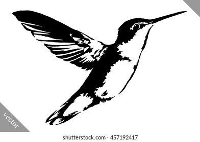black and white paint draw eagle hummingbird vector illustration