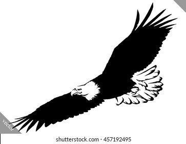 black and white paint draw eagle bird vector illustration