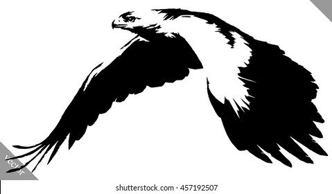 Black And White Paint Draw Eagle Bird Vector Illustration