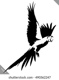 black and white paint draw parrot bird vector illustration
