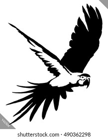 black and white paint draw parrot bird vector illustration