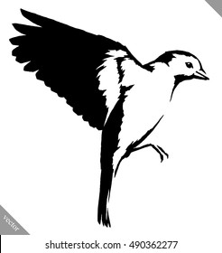 black and white paint draw tit bird vector illustration