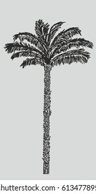 Black and white palm graphic design vector art