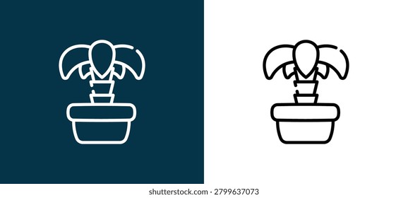 Black and white palm tree outline icon duo, editable stroke vector illustration for web, mobile apps, UI design, branding, and print from House Plant