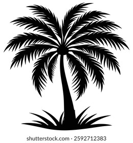 "Black and White Palm Tree Silhouette, Tropical Plant Illustration for Design Projects"