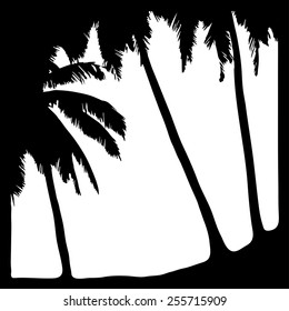 Black and white palm tree silhouettes. Vector illustration