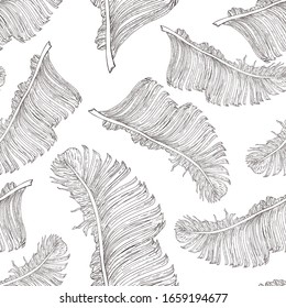 Black and white palm twigs on a white background. Outline drawing in the form of a sketch. Seamless pattern for different surfaces.