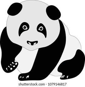 black and white panda baby vector