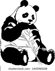 black and white Panda with bamboo